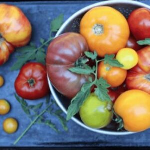 Главный вопрос: сколько времени нужно помидорам, чтобы вырасти?