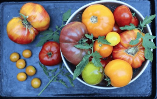 Главный вопрос: сколько времени нужно помидорам, чтобы вырасти?