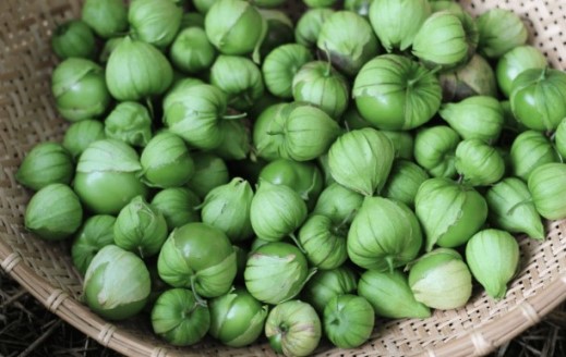 Идеальное время: когда томатильо готовы к сбору?