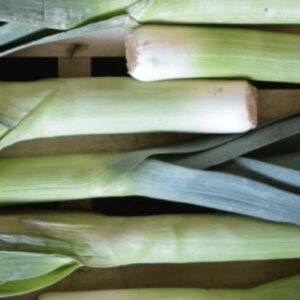 Как профессионально собирать лук-порей