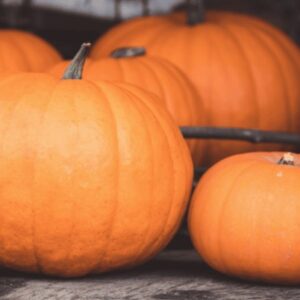 Полив тыкв: лучшие практики для выращивания отличных тыкв