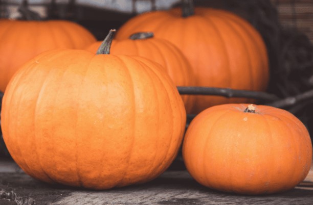 Полив тыкв: лучшие практики для выращивания отличных тыкв