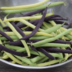 Выбор между кустовой и вьющейся фасолью