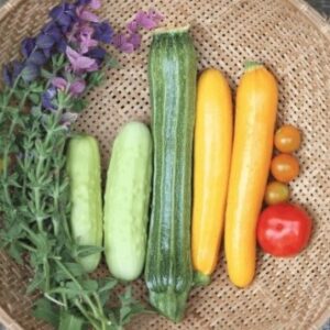 Выращивание кабачков: основы. Руководство для начинающих