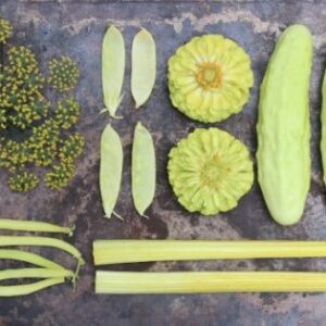 Выращивание ярких и красивых желтых овощей